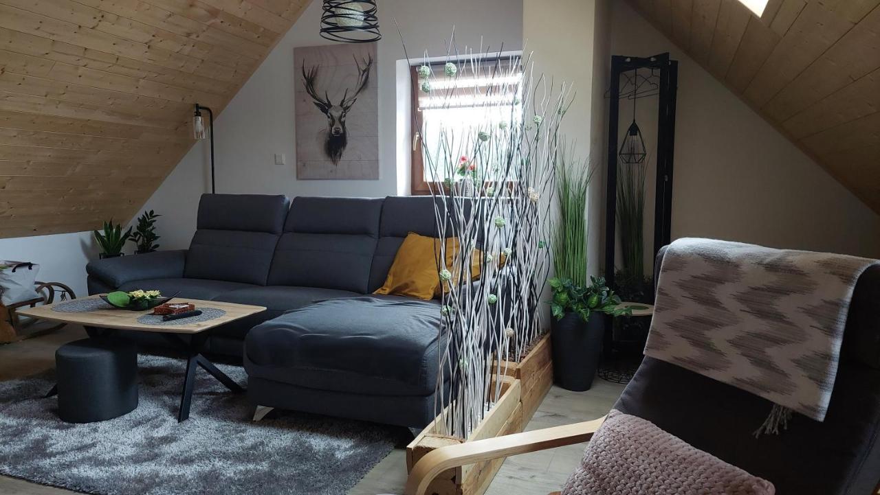 Vaclavov u Bruntalu Apartman Pod Smrcinou מראה חיצוני תמונה