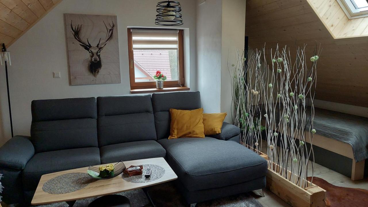 Vaclavov u Bruntalu Apartman Pod Smrcinou מראה חיצוני תמונה